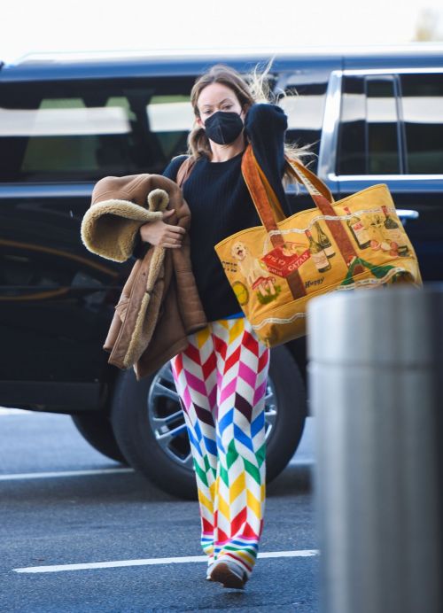 Olivia Wilde arrives at JFK Airport in New York 10/31/2021 5