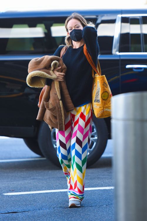 Olivia Wilde arrives at JFK Airport in New York 10/31/2021
