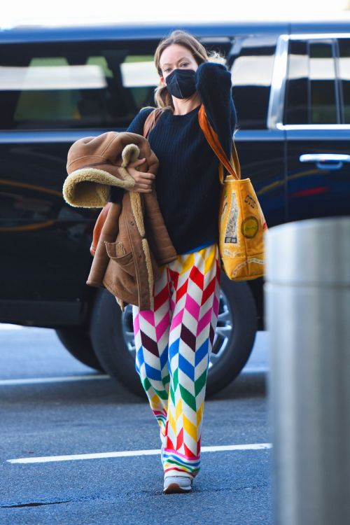 Olivia Wilde arrives at JFK Airport in New York 10/31/2021 7