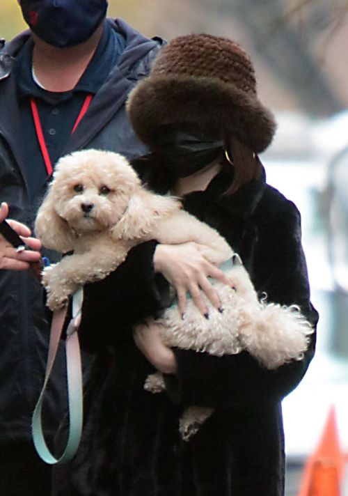 Selena Gomez with Her Dog on the Set of Only Murders in the Building in New York 5