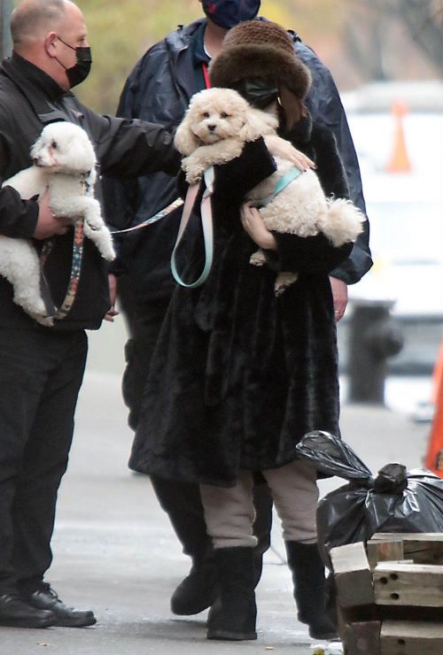 Selena Gomez with Her Dog on the Set of Only Murders in the Building in New York 6