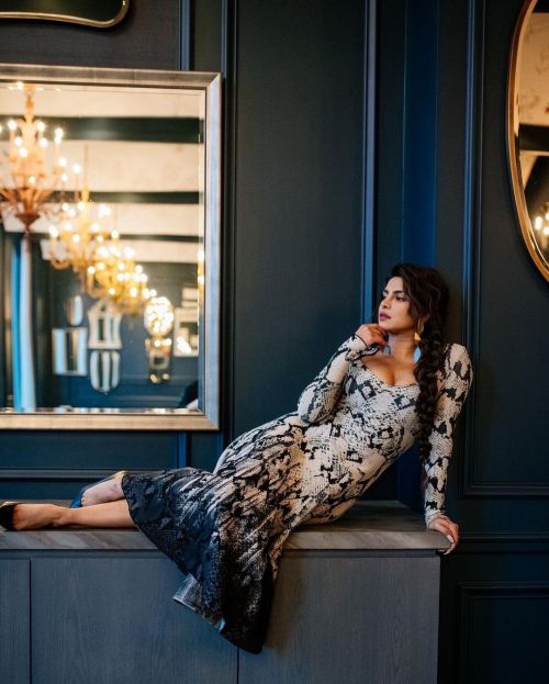 Priyanka Chopra wears Outfit Designed by Roberto Cavalli during Photoshoot, December 2021 1