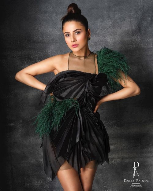 Shehnaaz Gill wears Outfit Designed by Gavin Miguel this Photoshoot, January 2022