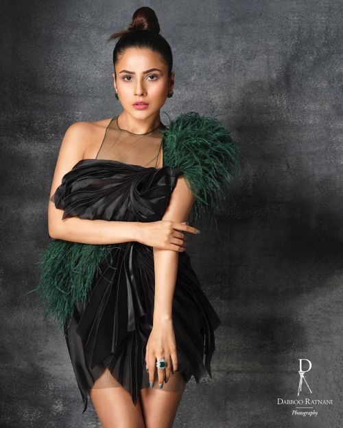 Shehnaaz Gill wears Outfit Designed by Gavin Miguel this Photoshoot, January 2022 8