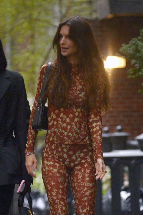 Emily Ratajkowski in Brown Tights Dress goes to US Open Tennis in New York
