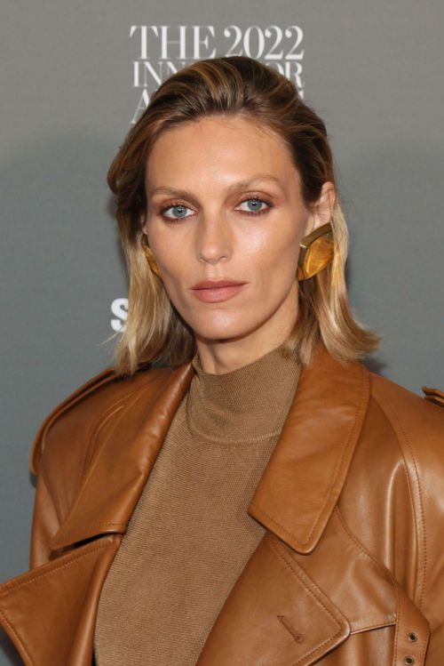 Anja Rubik attends WSJ Magazine 2022 Innovator Awards in New York, Nov 2022 1