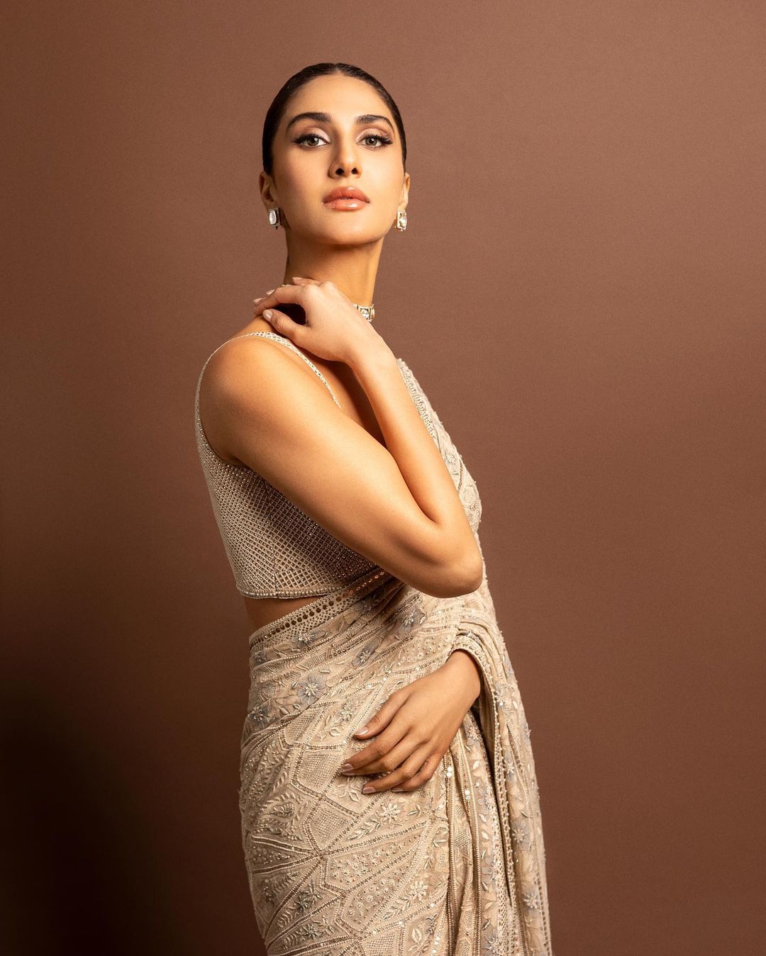 Vaani Kapoor wears Saree Designed by Tarun Tahiliani During Photoshoot, Feb 2023 3