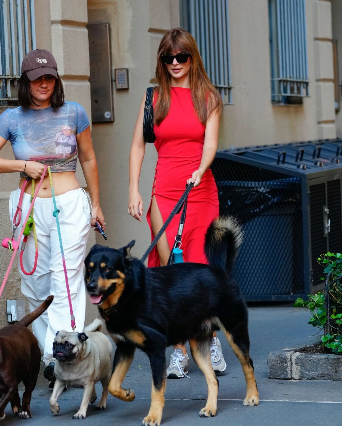 Emily Ratajkowski out with her friend and their dogs in New York