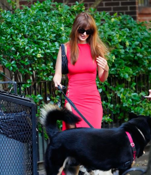 Emily Ratajkowski out with her friend and their dogs in New York 1