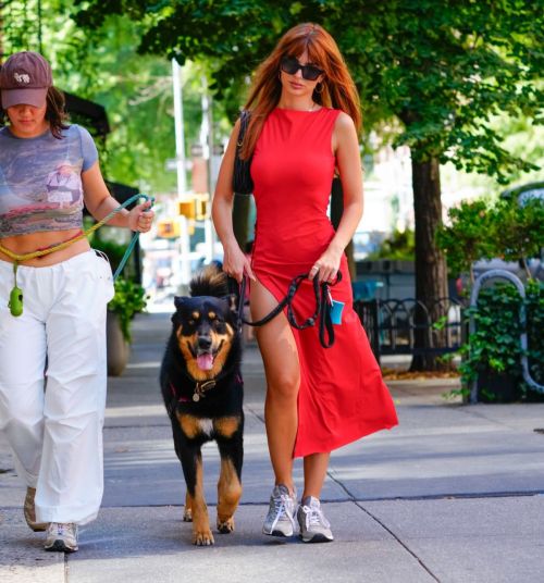 Emily Ratajkowski out with her friend and their dogs in New York 3