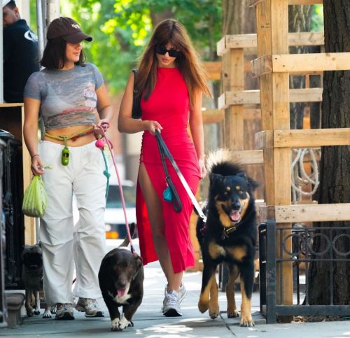 Emily Ratajkowski out with her friend and their dogs in New York 5