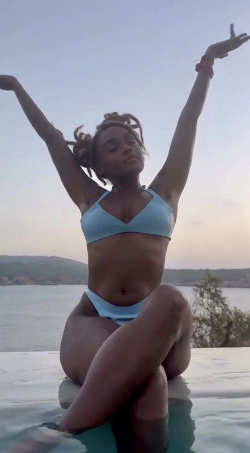 Janelle Monae Instagram Delights Fans with New Photos 2