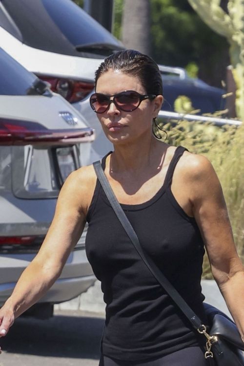 Lisa Rinna Out Shopping in Studio City 2