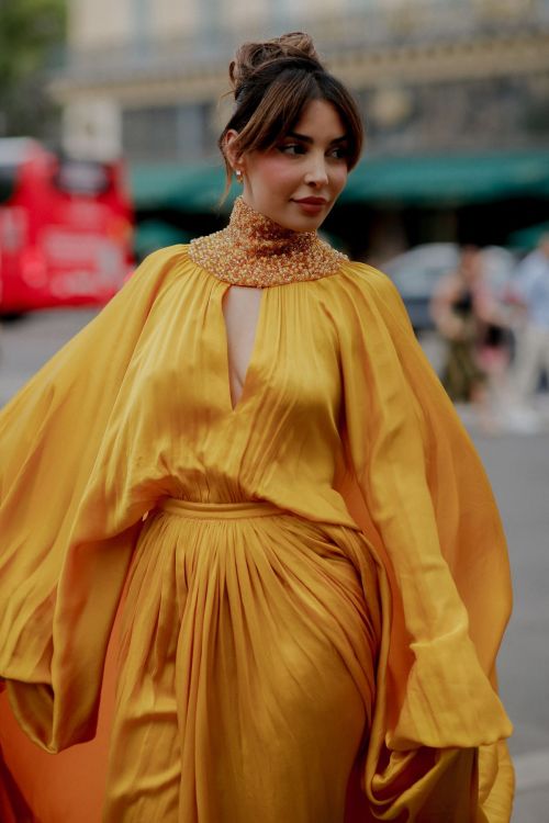 Sananas arrives at Stephane Rolland Fall/Winter 23-24 Haute Couture Show in Paris 07/04/2023 1