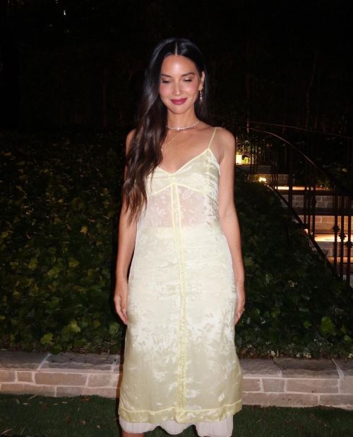 Olivia Munn Celebrates Dwyane Wade Hall of Fame Induction 2
