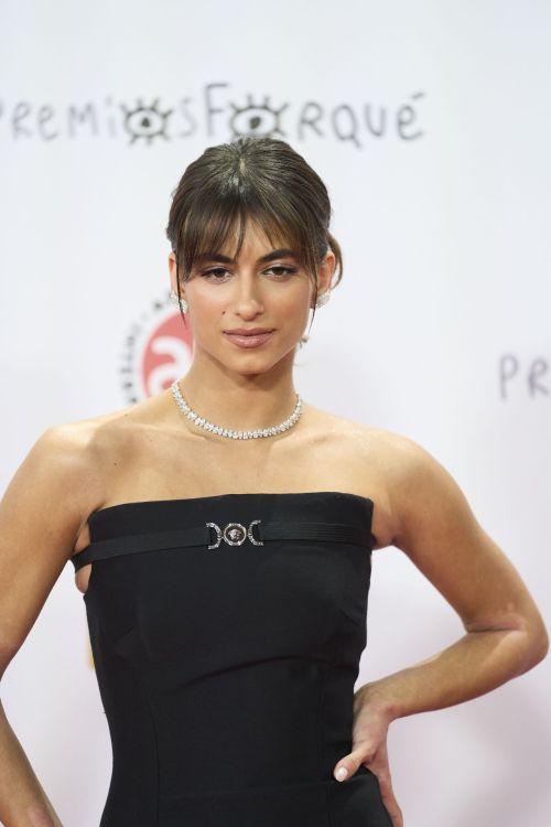 Begona Vargas attends at 29th Jose Maria Forque Awards in Madrid 2
