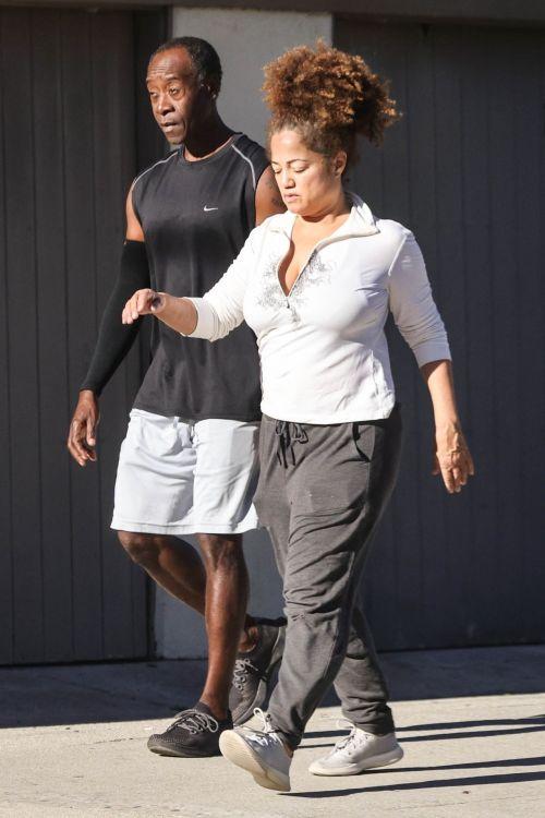 Bridgid Coulter and Don Cheadle Workout Dress in Los Angeles 2