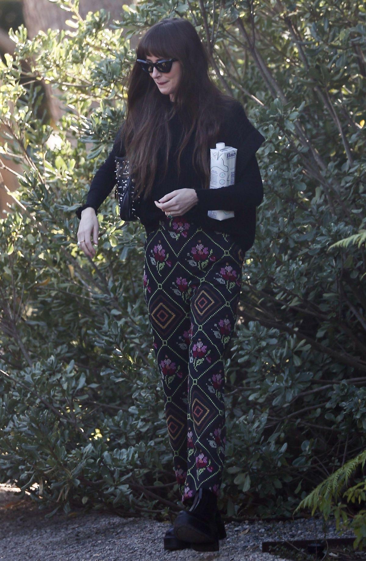 Dakota Johnson Malibu Stroll in Printed Bottoms