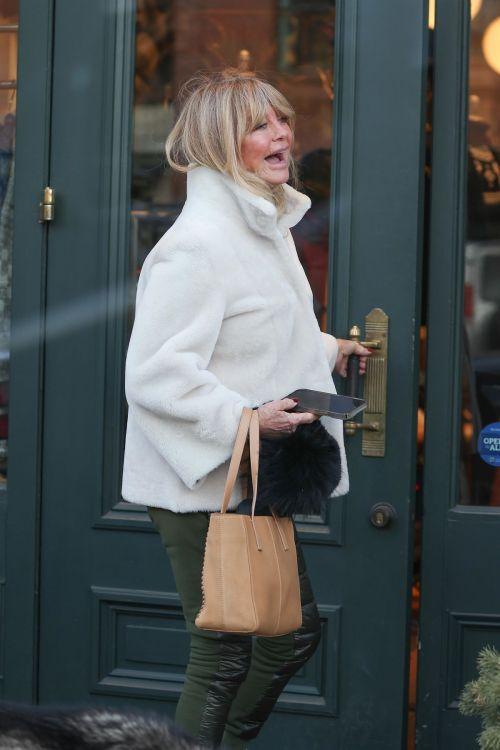 Goldie Hawn & Kurt Russell spotted shopping in Aspen 4