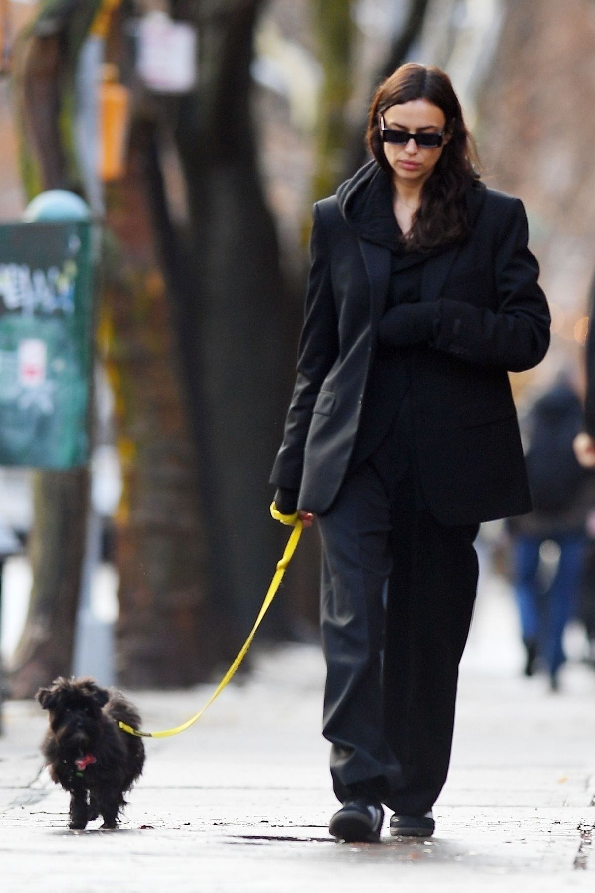 Irina Shayk in Stylish Black Suit Pant Outfit Strolling with Dog in NYC