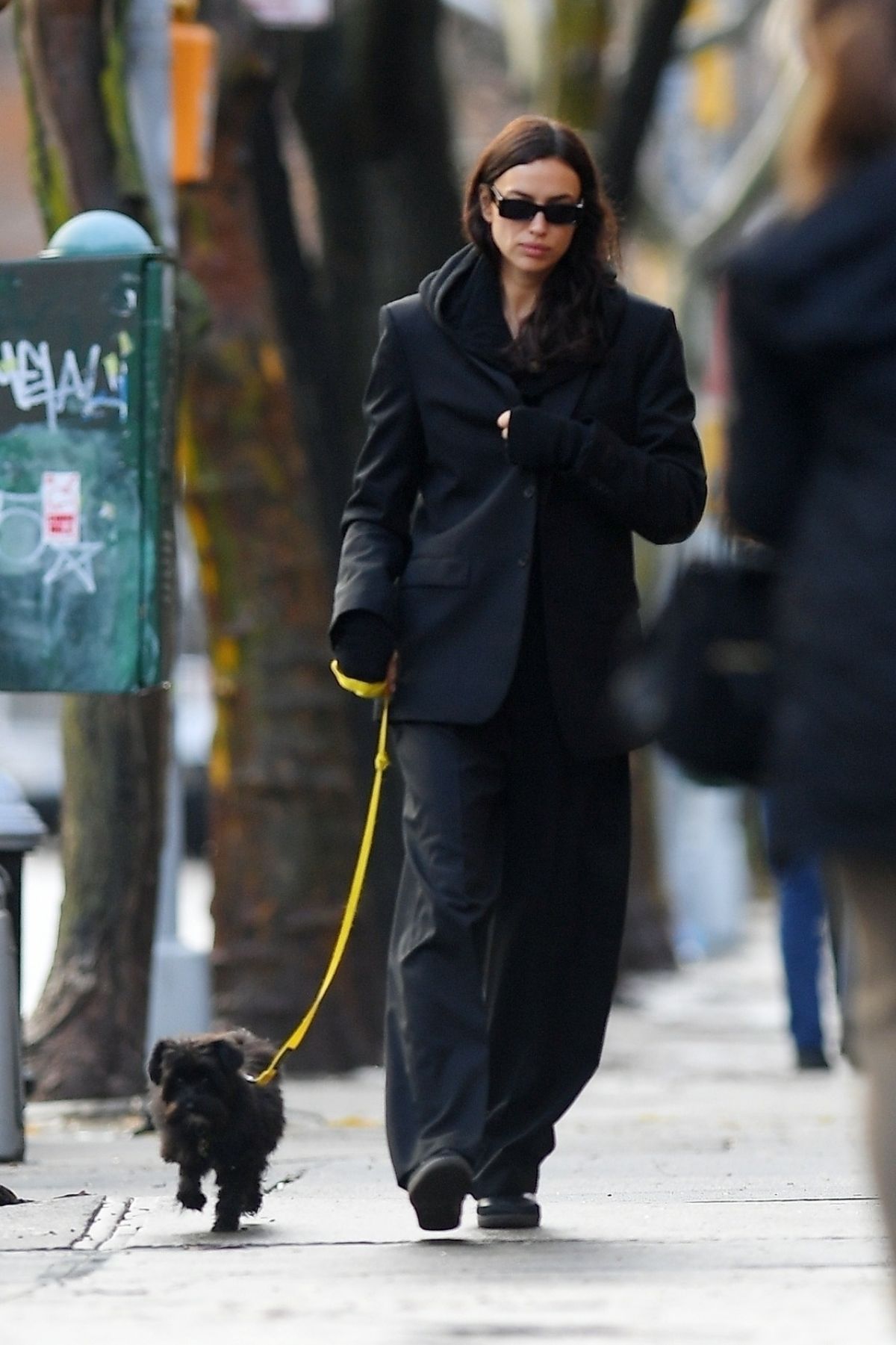 Irina Shayk in Stylish Black Suit Pant Outfit Strolling with Dog in NYC 1