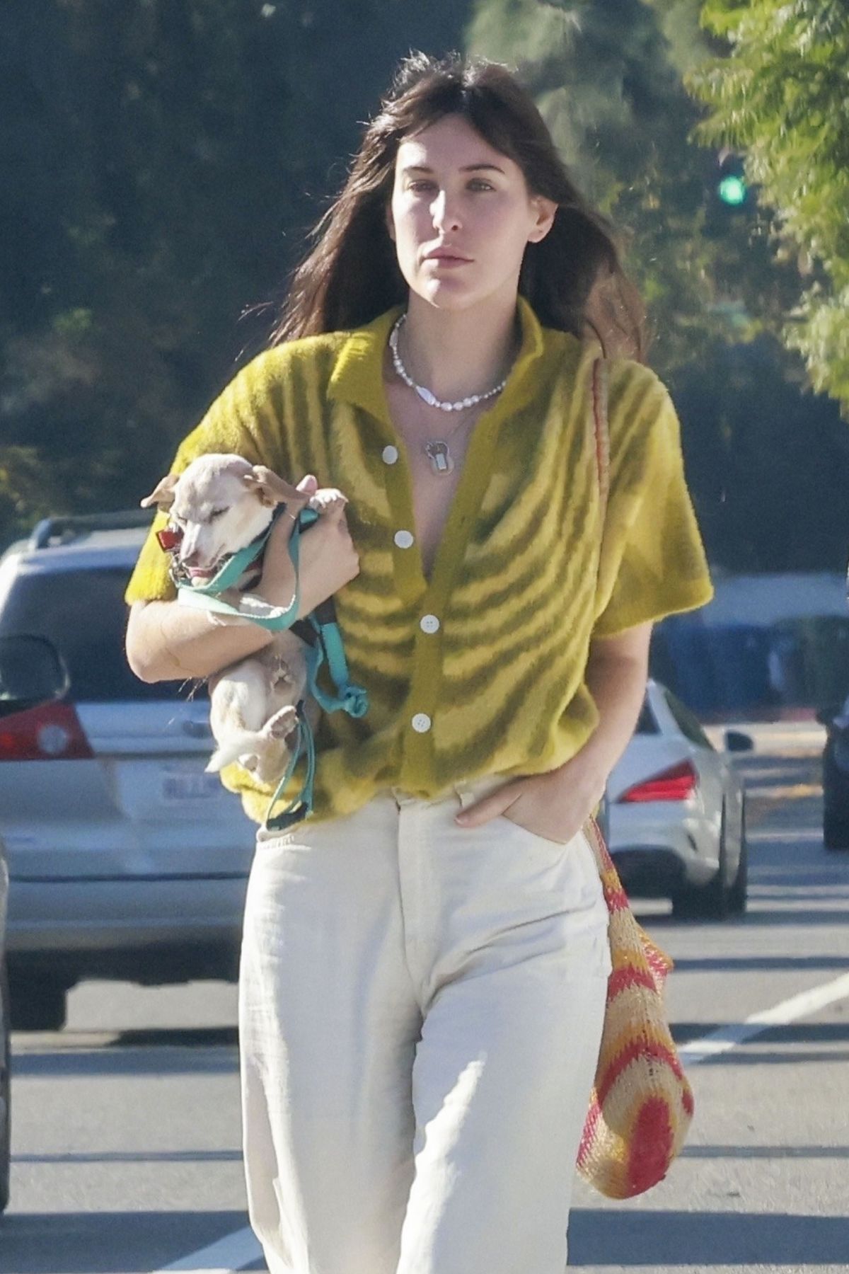 Scout Willis Enjoys Breakfast Stroll with Dog in LA 1
