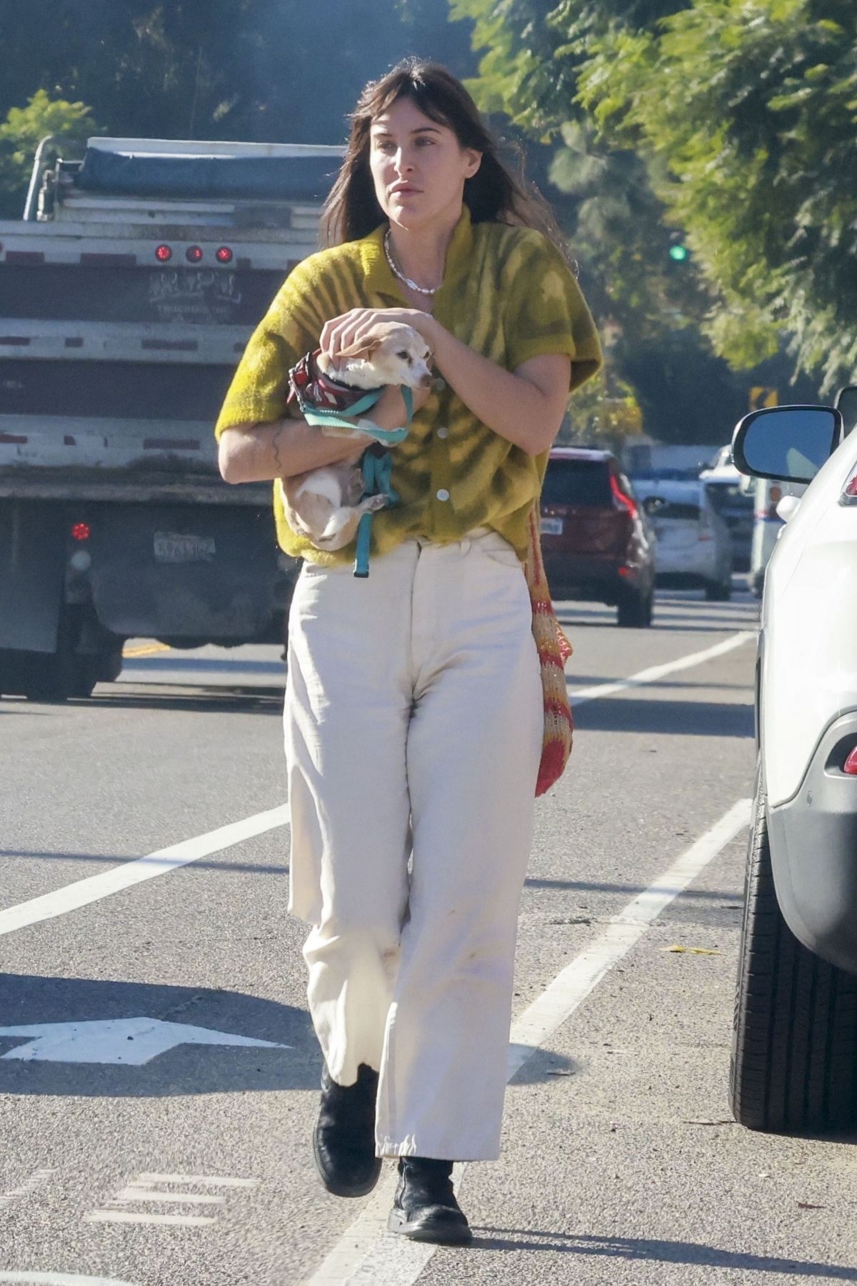 Scout Willis Enjoys Breakfast Stroll with Dog in LA 2