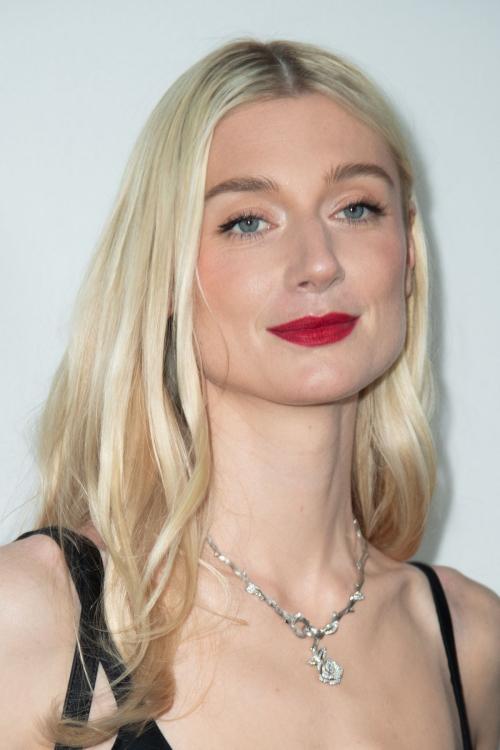 Elizabeth Debicki at Christian Dior Show Paris Fashion Week, February 2024 3