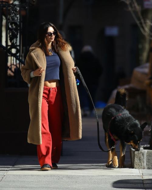 Emily Ratajkowski Out with Her Dog in New York, February 2024 5