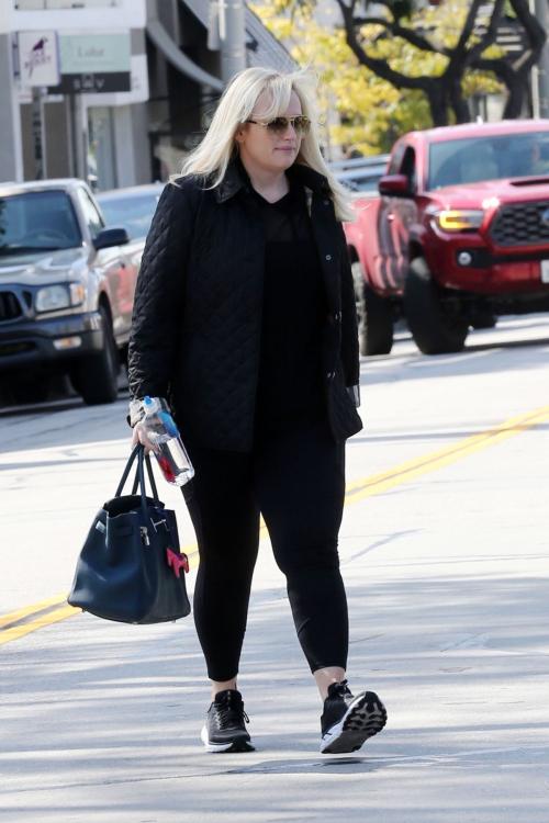Rebel Wilson Amavi Artistry Salon Beverly Hills 6