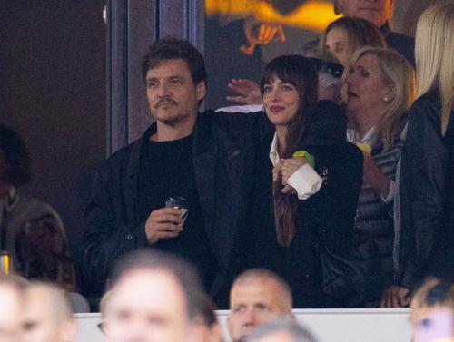 Dakota Johnson Stevie Nicks Hyde Park Show London 1
