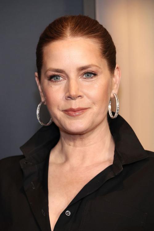 Amy Adams at 15th Annual Governors Awards in Hollywood, November 2024 1