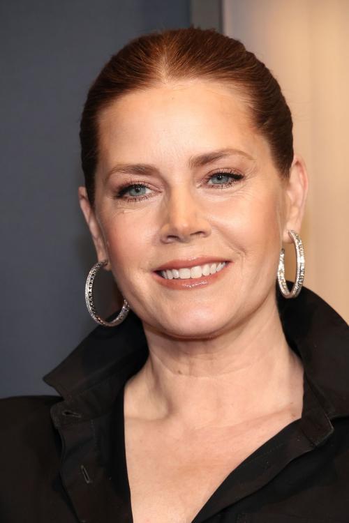 Amy Adams at 15th Annual Governors Awards in Hollywood, November 2024 2