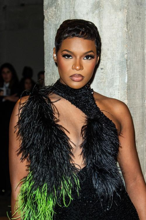 Didi Stone at Germanier Fashion Show at PFW in Paris, January 2025 4