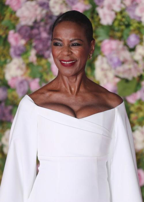 Josette Simon at Bridget Jones Premiere in London, January 2025 4