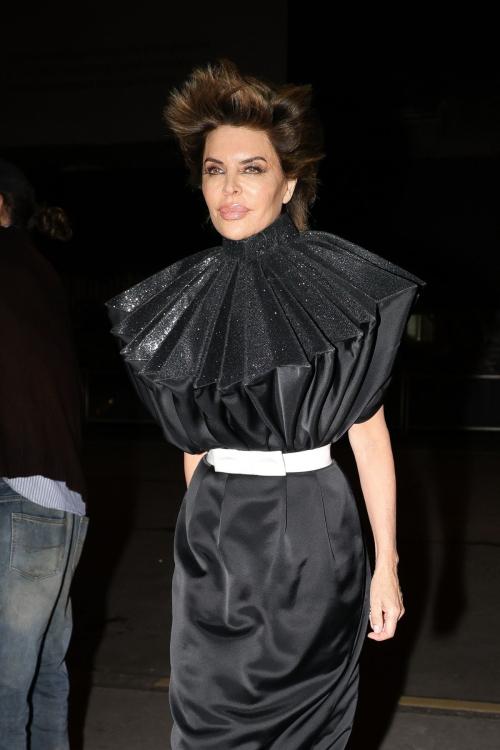 Lisa Rinna Exudes Elegance at Costes Party, January 2025