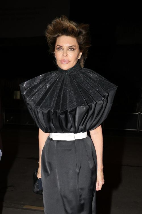 Lisa Rinna Exudes Elegance at Costes Party, January 2025 5