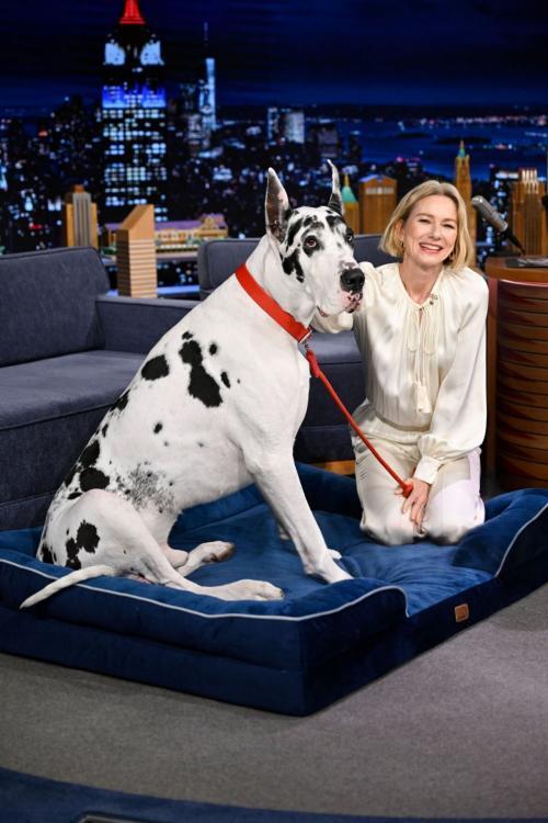 Naomi Watts at The Tonight Show with Jimmy Fallon, March 2025 7