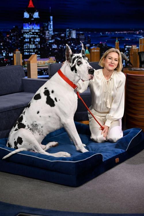 Naomi Watts at The Tonight Show with Jimmy Fallon, March 2025 8