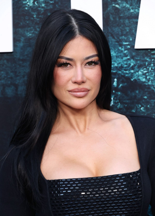 Kim Lee at The Accountant 2 Premiere in LA, April 2025 2