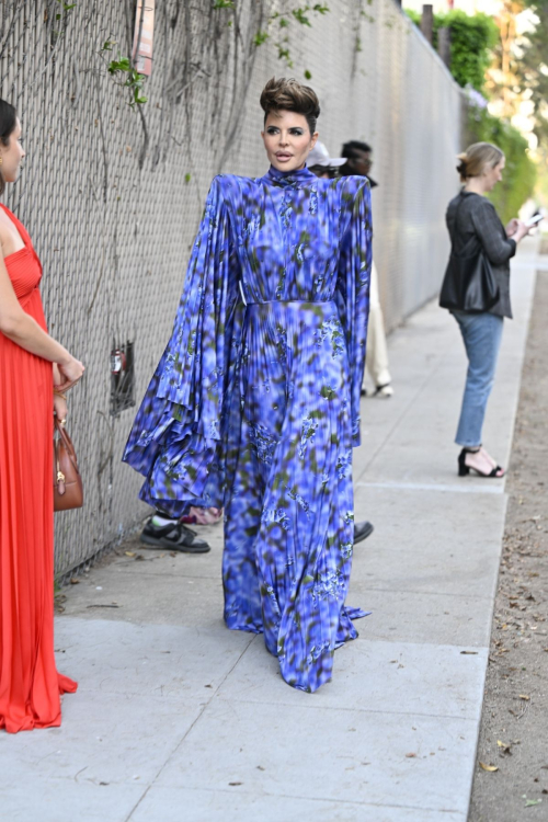 Lisa Rinna at Fashion Trust U.S Awards, April 2025