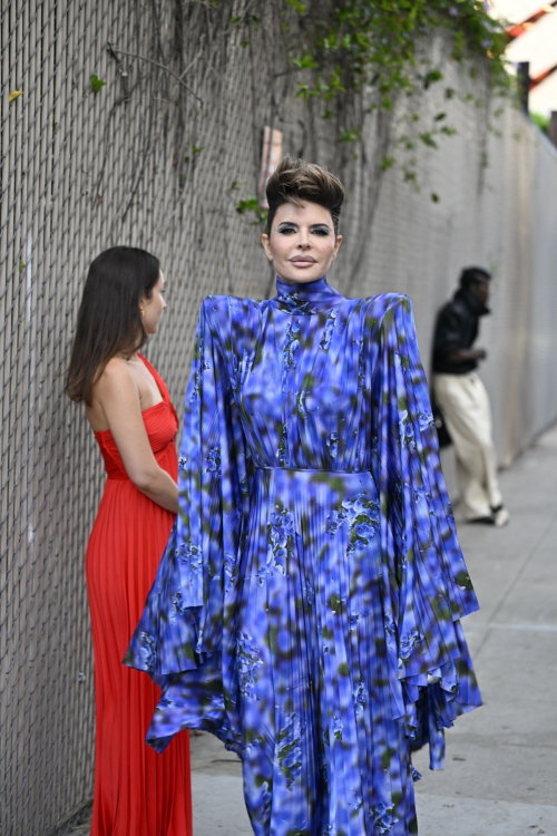 Lisa Rinna at Fashion Trust U.S Awards, April 2025 1