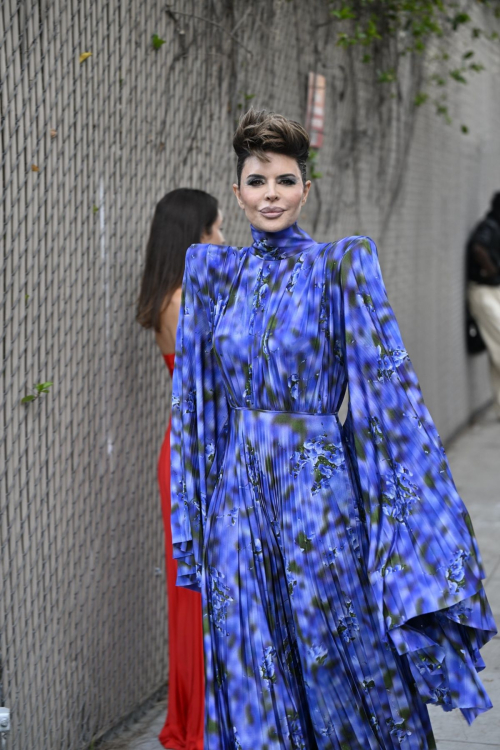 Lisa Rinna at Fashion Trust U.S Awards, April 2025 2