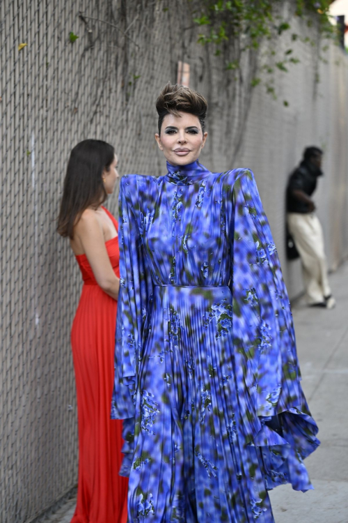 Lisa Rinna at Fashion Trust U.S Awards, April 2025 4