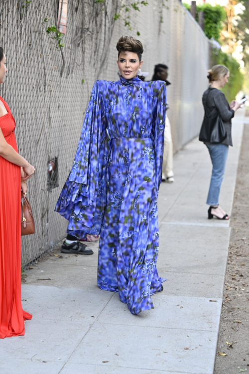Lisa Rinna at Fashion Trust U.S Awards, April 2025 5
