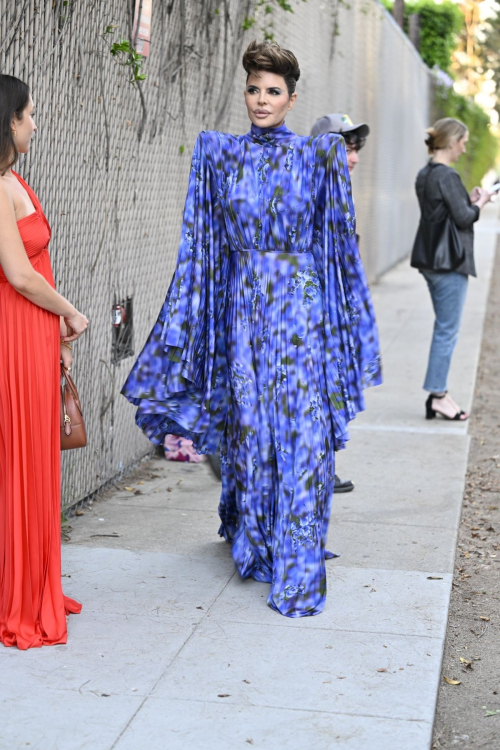 Lisa Rinna at Fashion Trust U.S Awards, April 2025 6