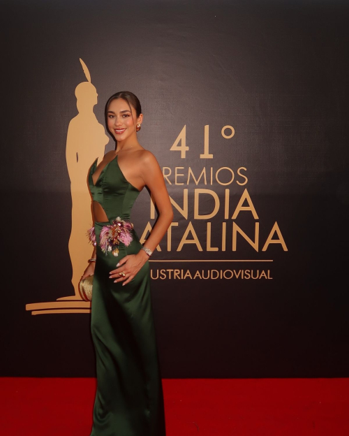 Luana Barron at India Catalina Audio Visual Awards, April 2025 2