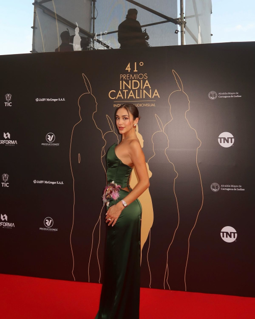 Luana Barron at India Catalina Audio Visual Awards, April 2025 4