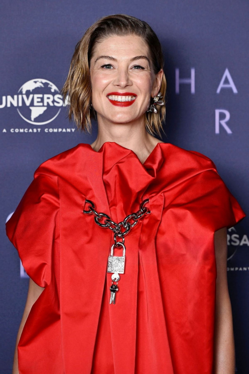 Rosamund Pike at Hallow Road Special Screening in London, April 2025 1