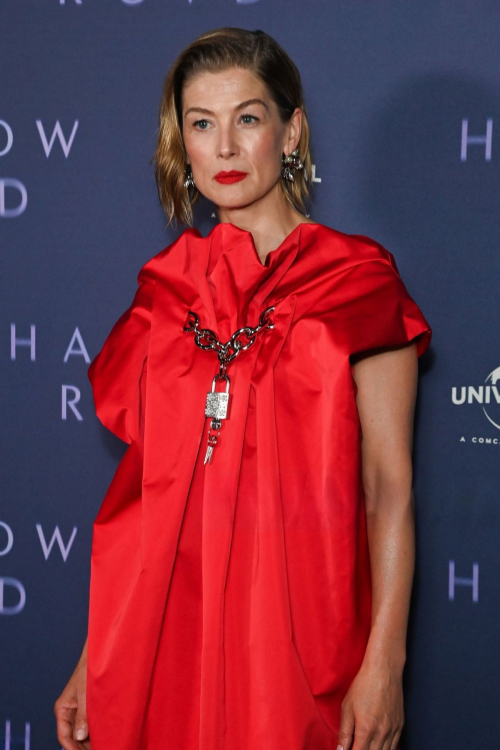 Rosamund Pike at Hallow Road Special Screening in London, April 2025 5
